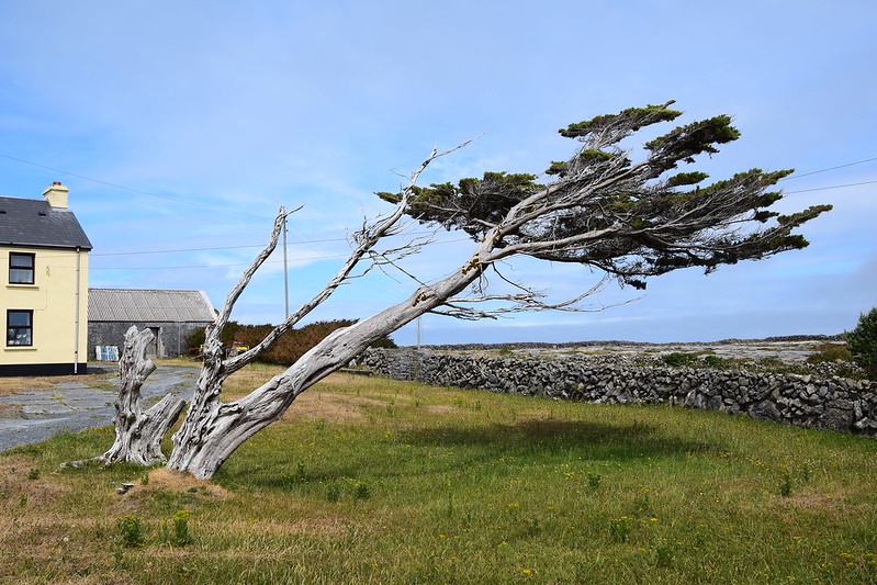 Remembering the Aran Islands